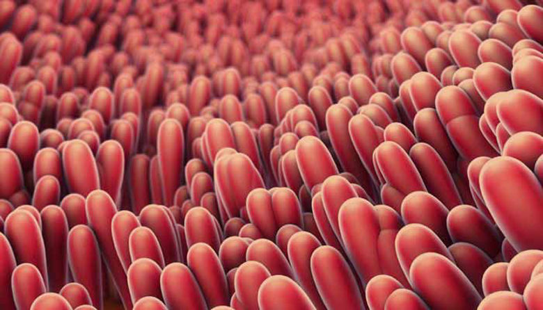 Picture of Celiakija - bolezen, ki je niste pričakovali!