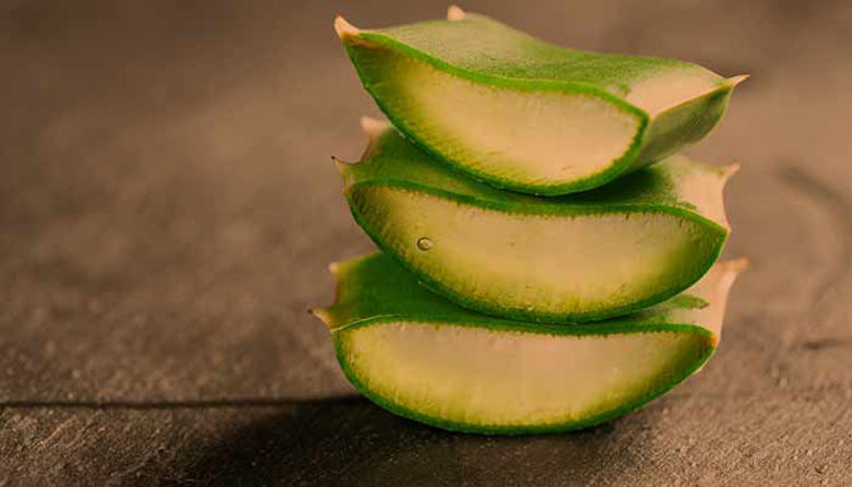 Picture of Aloja vera uporaba