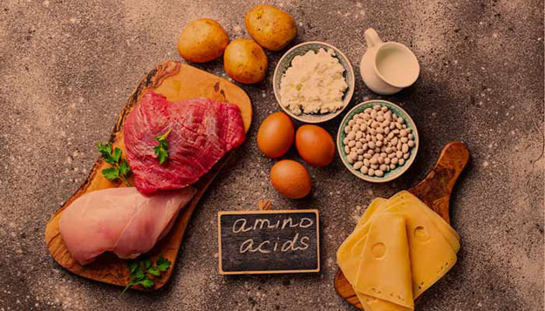 Picture of Aminokisline - pomen, funkcije in vpliv na zdravje