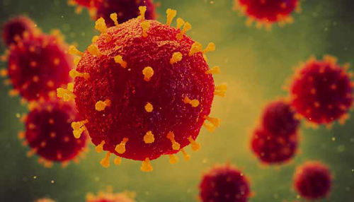 RDEČKE: Vzroki, Simptomi in Dejstva o Cepljenju