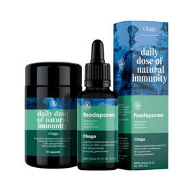 Foodsporen Čaga, goba imunosti