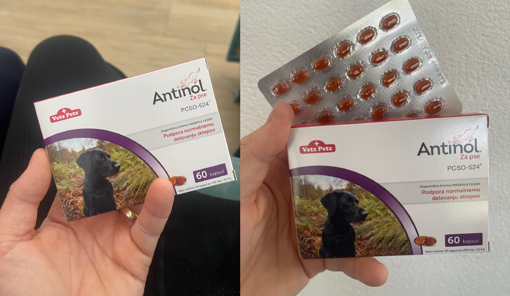 antinol-slika-kapsull